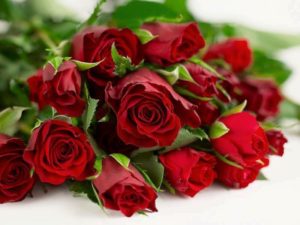 Stimaţi funcţionari publici !