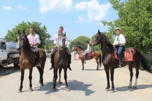 Festivalul Portului Popular