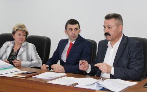 Comisiile consultative de specialitate întrunite în ultima şedinţă din acest an
