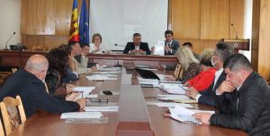 Comisiile consultative de specialitate în şedinţă