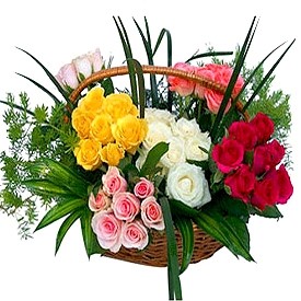 Mesaj de felicitare! Ziua lucrătorului din sfera protecției sociale a populației