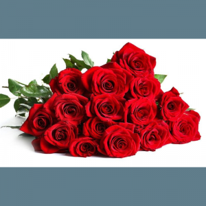 Mesaj de felicitare!