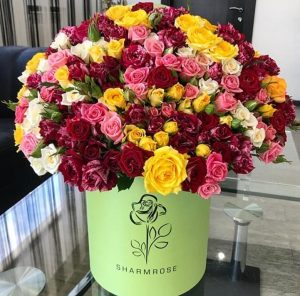 Astăzi sărbătorim aniversarea Distinsei Doamne, Oxana GRIGORIȚA, secretar al Consiliului raional și al raionului Drochia!