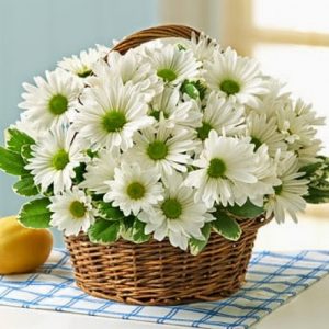 Din anul 2008, Ziua internațională a femeilor din mediul rural este sărbătorită pe 15 octombrie.