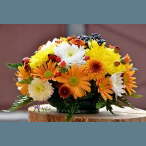 Mesaj de felicitare cu ocazia marcării Hramul satului în localităţile Cotova, Miciurin, Pelinia, Pervomaiscoe