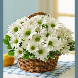 Felicitare către dna Raisa VACARI, Primar al comunei Pervomaiscoe