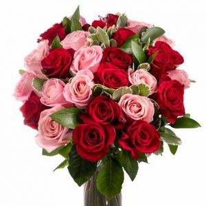 Mesaj de felicitare pentru Aliona Eșanu, Primar al satului Chetrosu!