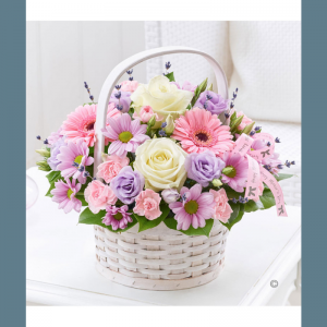 Mesaj de felicitare pentru Dna Ana PASCARU, Şef – adjunct Direcţie, Şef Secţia construcţii şi gospodăria drumurilor în cadrul Consiliului raional Drochia!