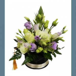 Mesaj de felicitare către Mihail Dobîndă, consilier în Consiliul raional Drochia!