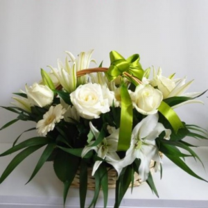 Mesaj de felicitare către Vitalie Manea, consilier în Consiliul raional Drochia!