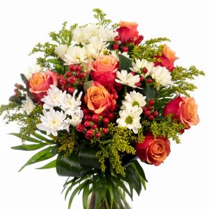 Felicitare către Domnul Ghenadie Morcov, consilier în Consiliul raional Drochia