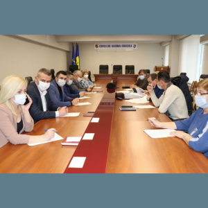 Examinarea petițiilor