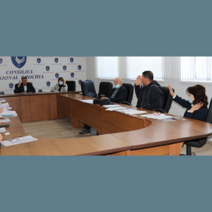 Comisiile consultative de specialitate întrunite în ședință