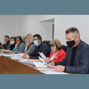 Convocarea comisiilor consultative de specialitate