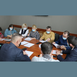 Ședința Comisiei de examinare a petițiilor
