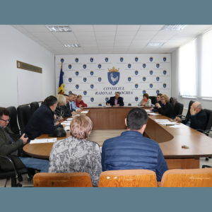 ȘEDINTELE COMISIILOR CONSULTATIVE DE SPECIALITATE