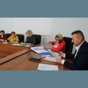 Consultări publice