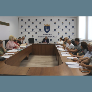 Ședințe de lucru a Comisiilor consultative de specialitate