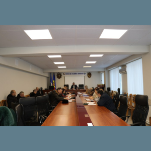 SEDINTELE COMISIILOR CONSULTATIVE DE SPECIALITATE