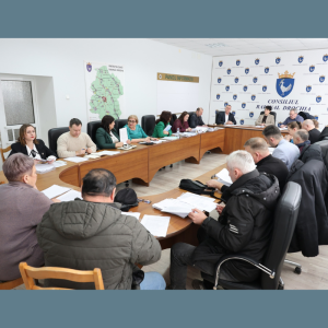 Membrii comisiilor consultative de specialitate ale Consiliului raional Drochia întruniți în ședințe de lucru