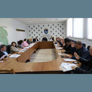 ȘEDINȚELE COMISIILOR CONSULTATIVE DE SPECIALITATE